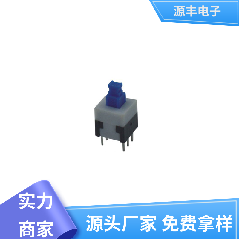 源丰电子 对讲机 电脑键盘按键开关 多型号满足您的需求