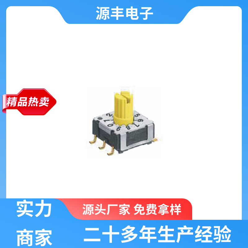 源丰电子 拨码开关 灵活的功率变换方式 多型号满足您的需求
