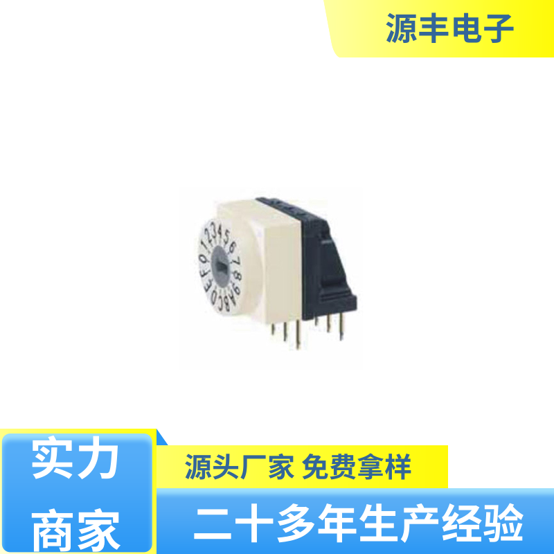 源丰电子 电动工具以及无线电设备等 拨码开关 支持定制定做