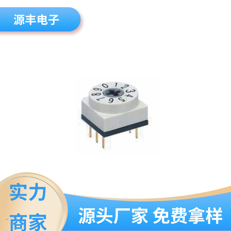 测试仪器 地址开关 多型号满足您的需求 源丰电子