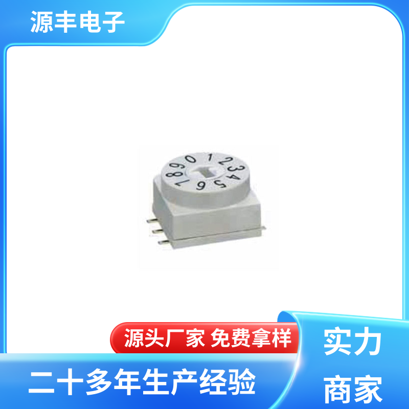 源丰电子 拨码开关 高性能 多型号满足您的需求