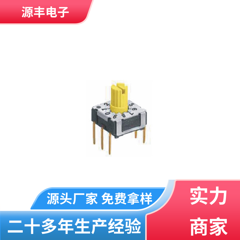 源丰电子 医疗器械 DIP开关 灵活的功率变换方式 支持定制定做
