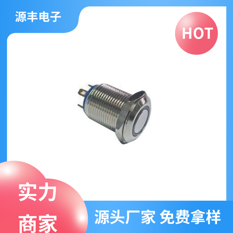 家用电器 钮子开关 多型号满足您的需求 源丰电子
