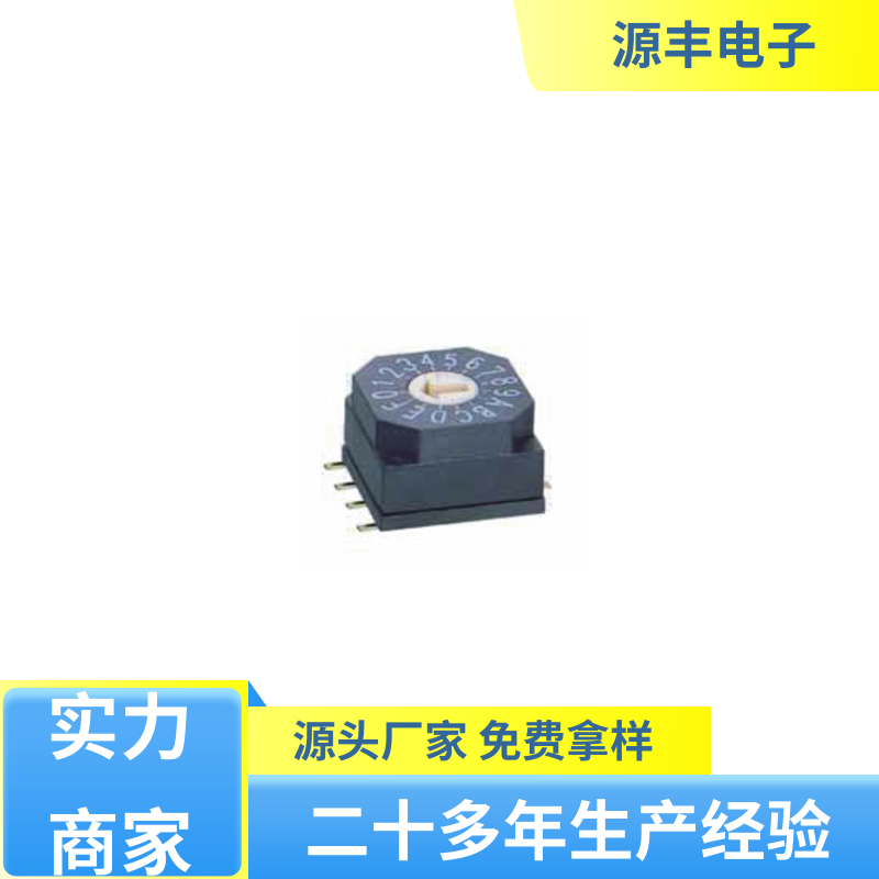 源丰电子 通讯设备 指拨开关 灵活的功率变换方式 支持定制定做