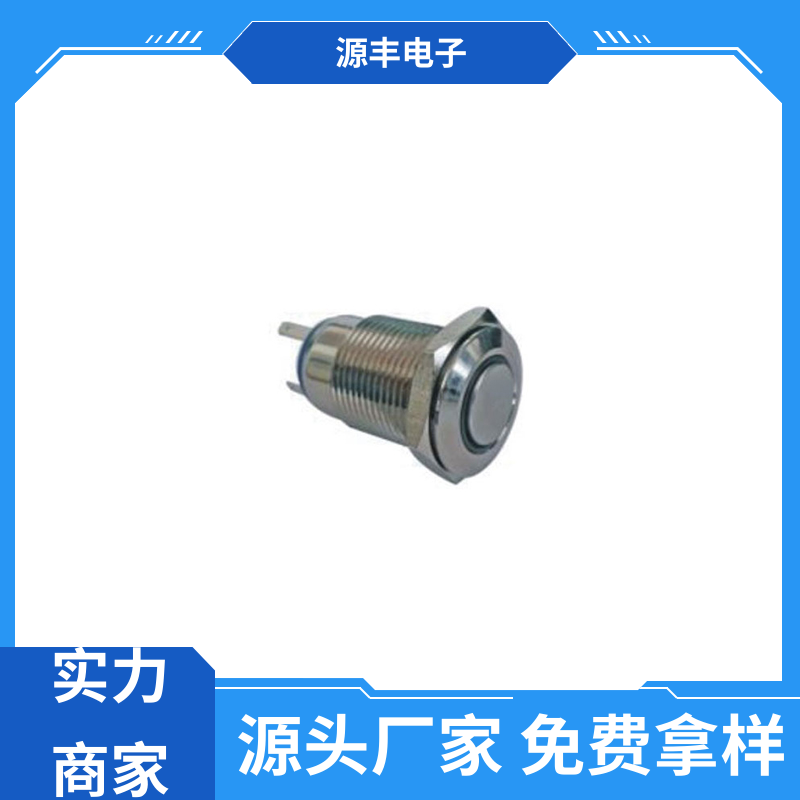 源丰电子 家用电器 钮子开关 良好的阻燃性 支持定制定做