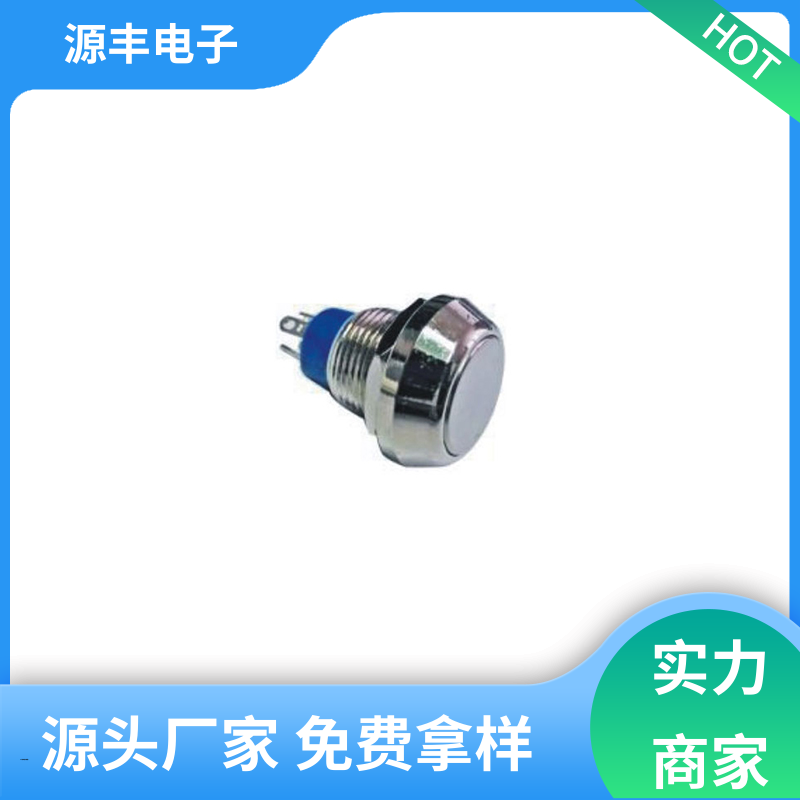 源丰电子 电气设备 防水开关 操控方便 多型号满足您的需求