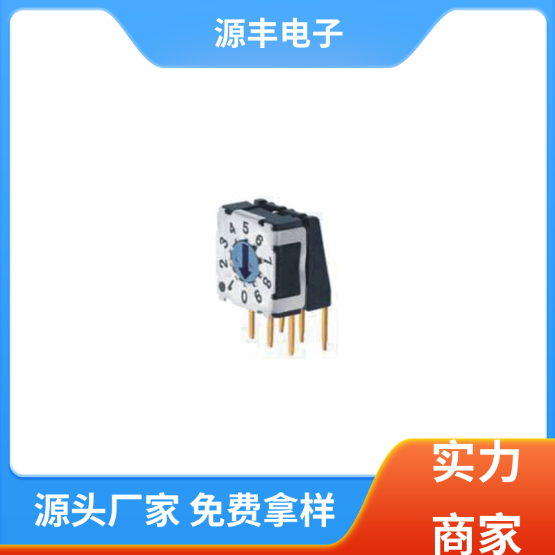 源丰电子 测试仪器 指拨开关 多型号满足您的需求