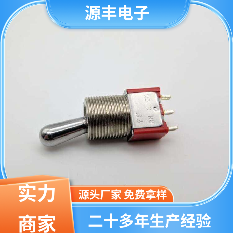 汽车电路保护 拨动开关 防水防尘 多型号满足您的需求 源丰电子