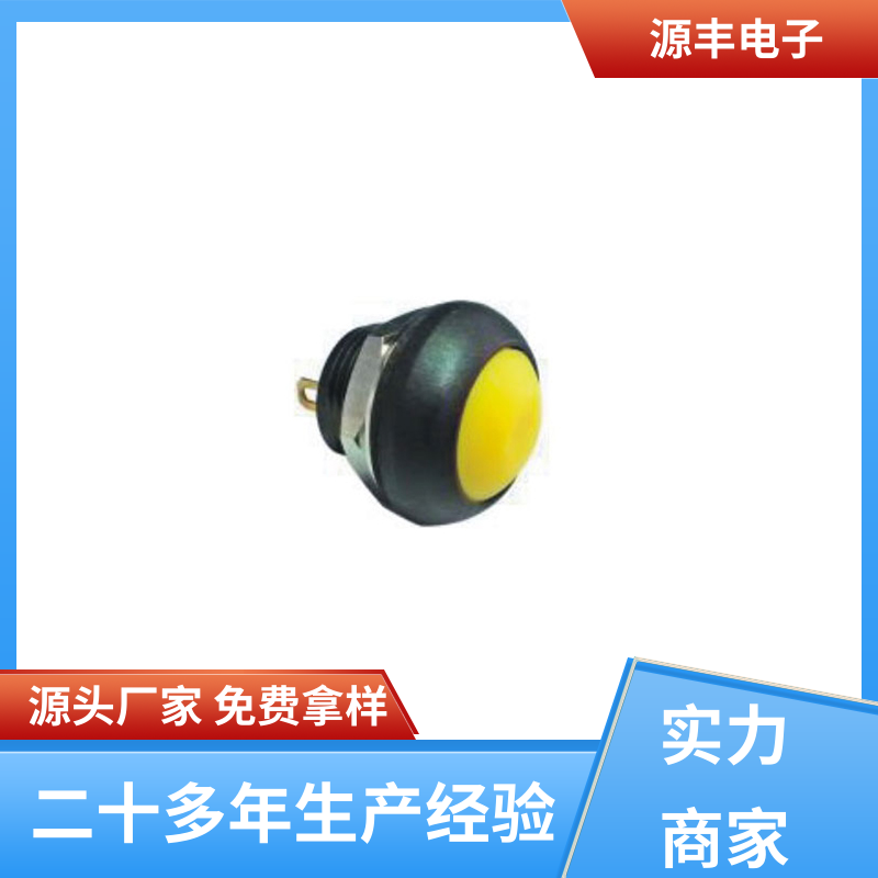源丰电子 钮子开关 外观独特 多型号满足您的需求