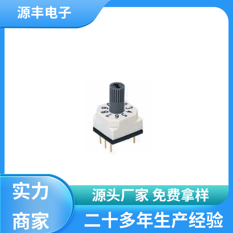 源丰电子 指拨开关 灵活的功率变换方式 支持定制定做
