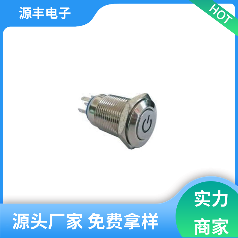 源丰电子 家用电器 钮子开关 使用领域广 多型号满足您的需求