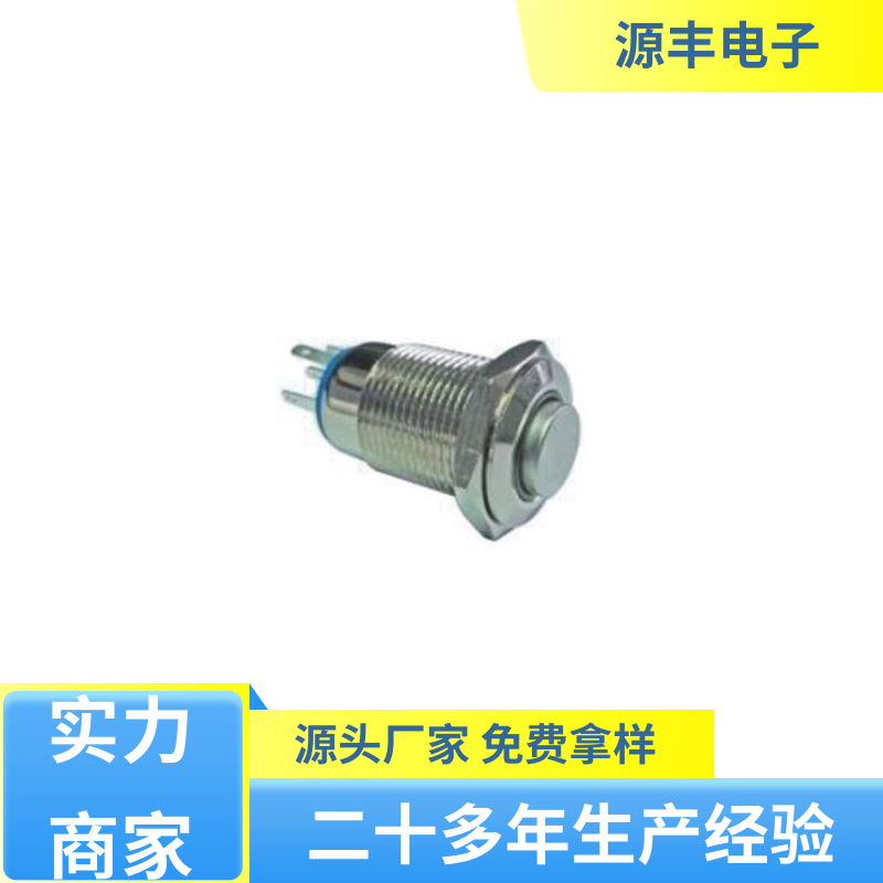 源丰电子 游戏机遥控器 防水开关 良好的阻燃性 多型号满足您的需求