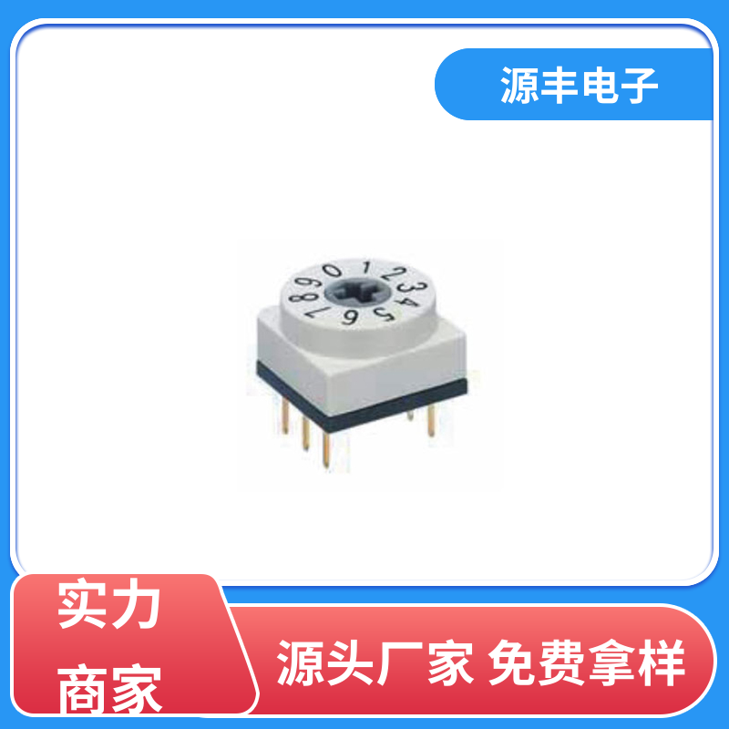 源丰电子 测试仪器 地址开关 高性能 多型号满足您的需求