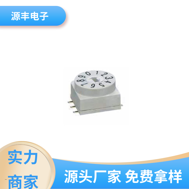 源丰电子 DIP开关 高功率密度等优势 支持定制定做