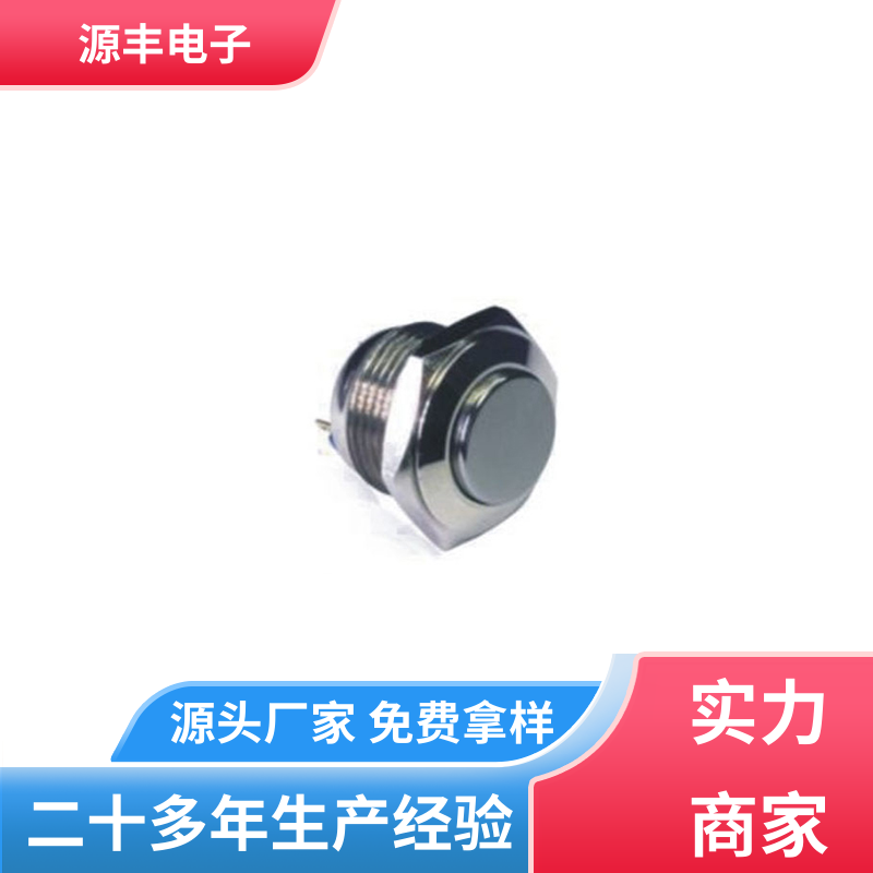 电气设备 防水开关 外观独特 多型号满足您的需求 源丰电子