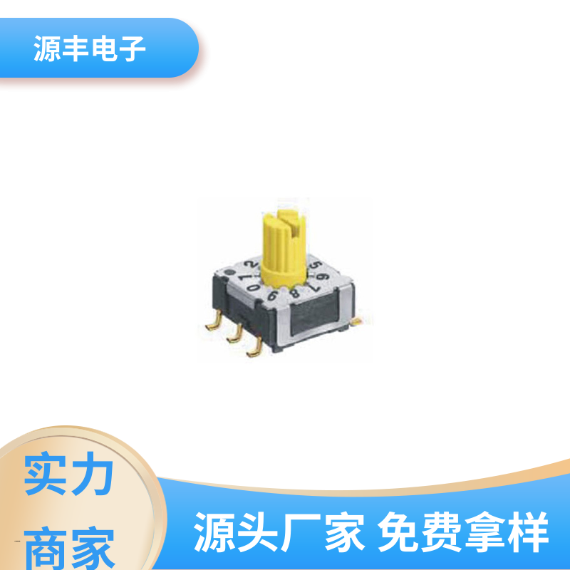 测试仪器 地址开关 高效率 支持定制定做 源丰电子