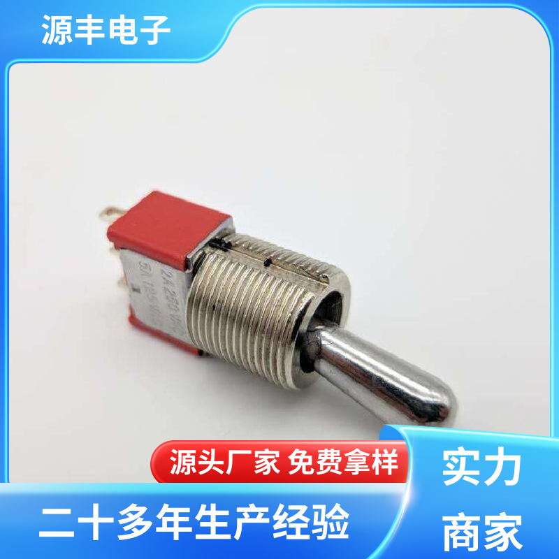 汽车电路保护 微动开关 外观独特 多型号满足您的需求 源丰电子