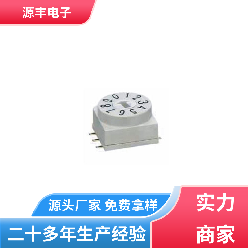 数码家电 指拨开关 高效率 支持定制定做 源丰电子