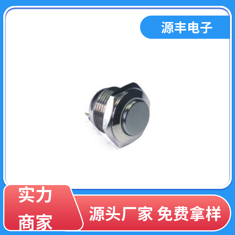 源丰电子 家用电器 摇臂开关 防水防尘 多型号满足您的需求