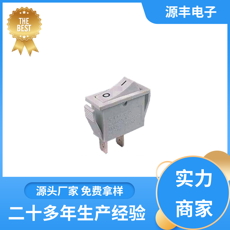 源丰电子 离子电视 船型开关 小功率 支持定制定做