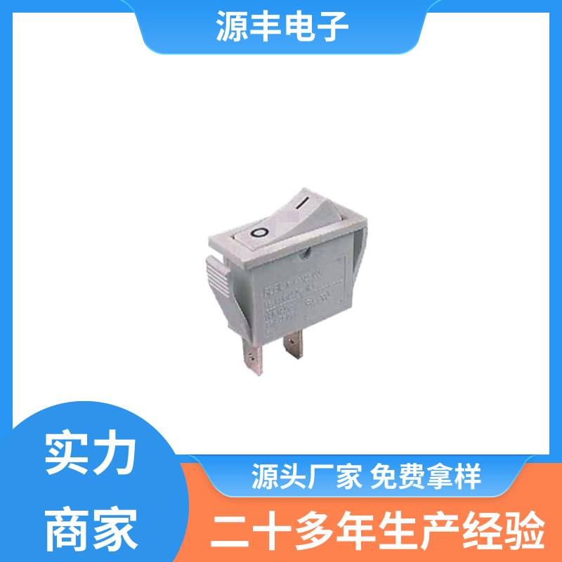 源丰电子 排插头 船型开关 小功率 多型号满足您的需求