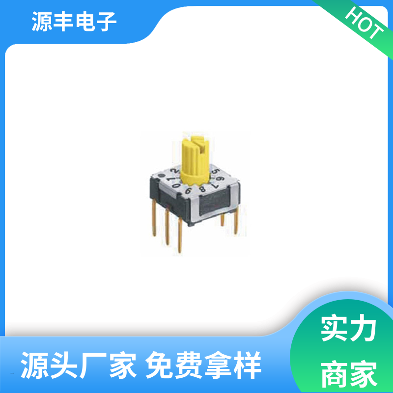 测试仪器 地址开关 使用领域广 多型号满足您的需求 源丰电子