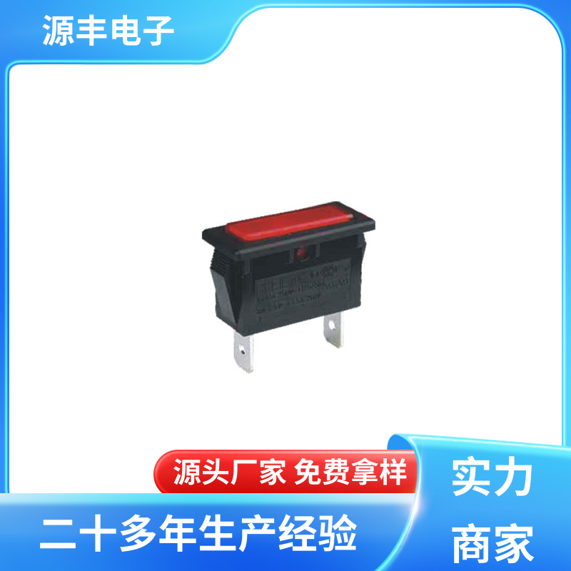 源丰电子 排插头 船型开关 小功率 支持定制定做