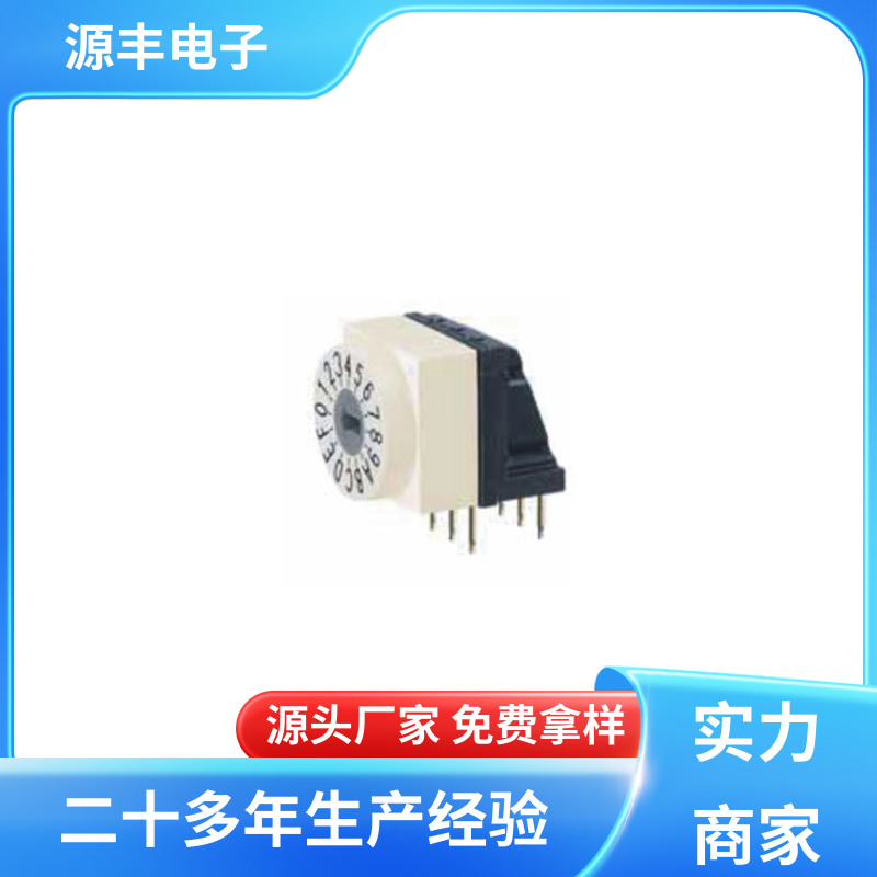 源丰电子 电动工具以及无线电设备等 拨拉开关 多型号满足您的需求