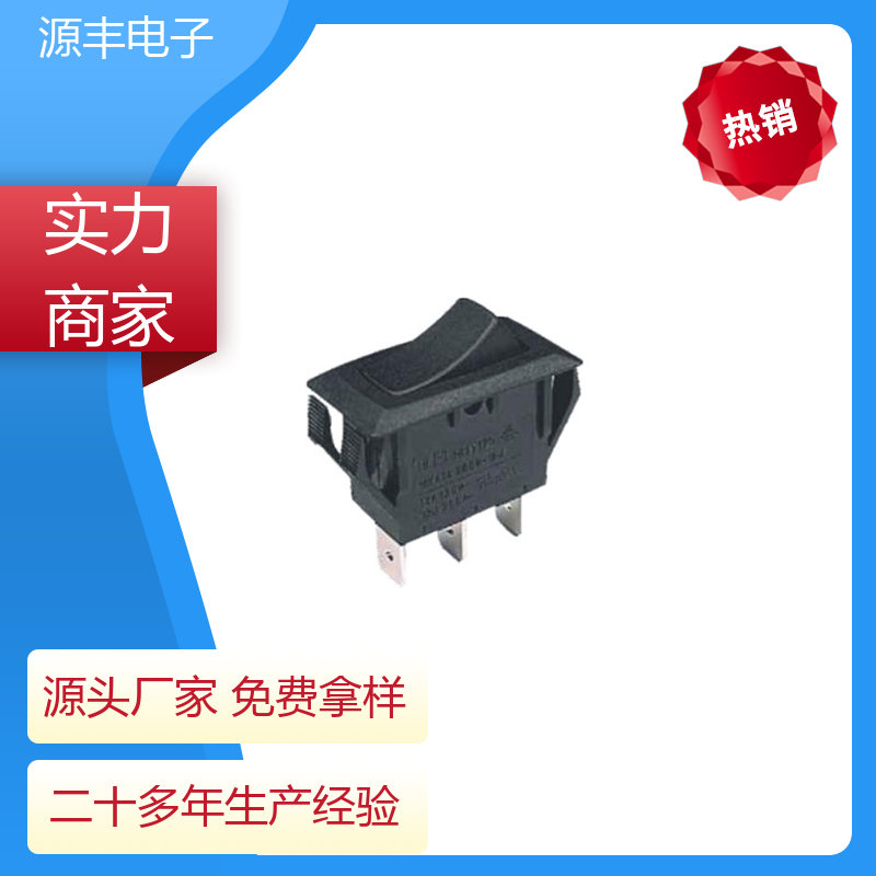 排插头 翘板开关 小功率 多型号满足您的需求 源丰电子