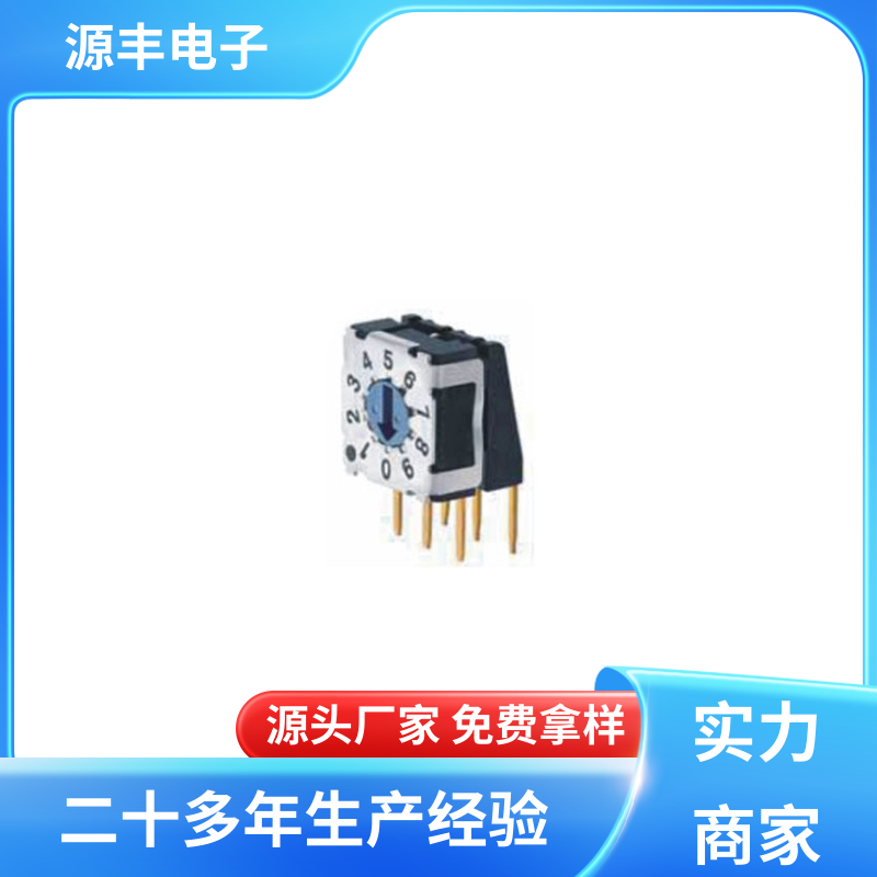 源丰电子 DIP开关 灵活的功率变换方式 多型号满足您的需求