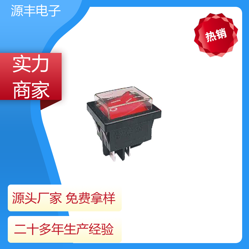 源丰电子 汽车行业 船型开关 多型号满足您的需求