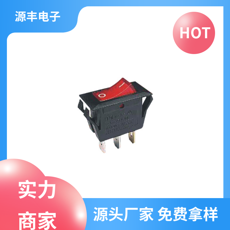 源丰电子 电瓶车 翘板开关 控制灵活 多型号满足您的需求