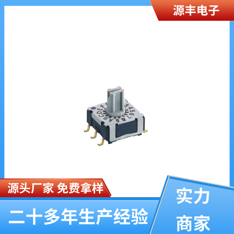 源丰电子 楼宇自动化 DIP开关 灵活的功率变换方式 支持定制定做