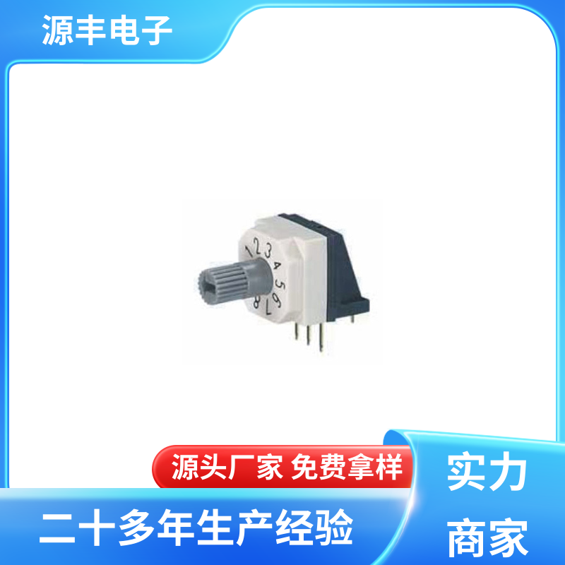 源丰电子 指拨开关 高效率 多型号满足您的需求