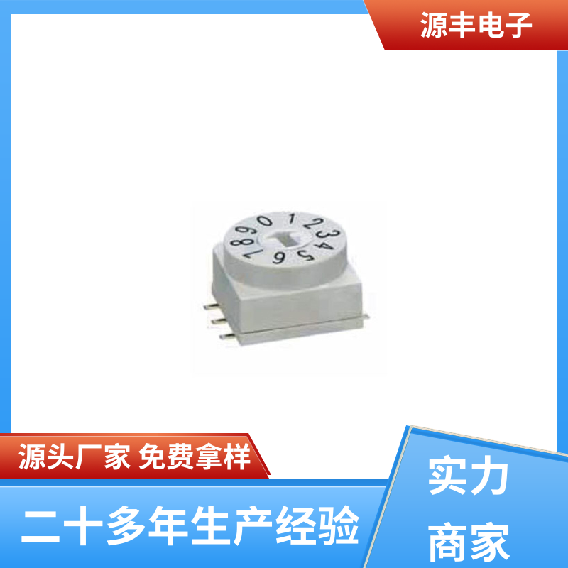 源丰电子 测试仪器 拨码开关 多型号满足您的需求