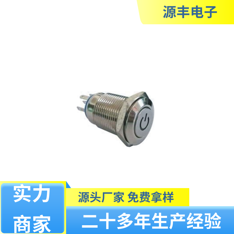 源丰电子 摇头开关 操控方便 多型号满足您的需求