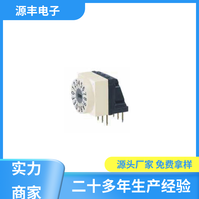 源丰电子 指拨开关 高功率密度等优势 多型号满足您的需求