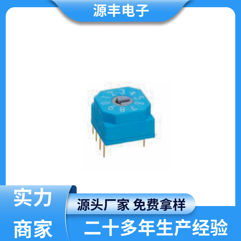 源丰电子 DIP开关 高功率密度等优势 多型号满足您的需求