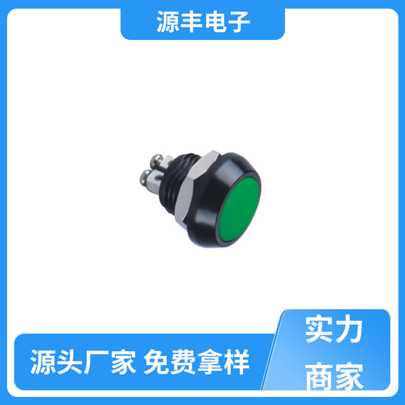 源丰电子 防水开关 外观独特 多型号满足您的需求
