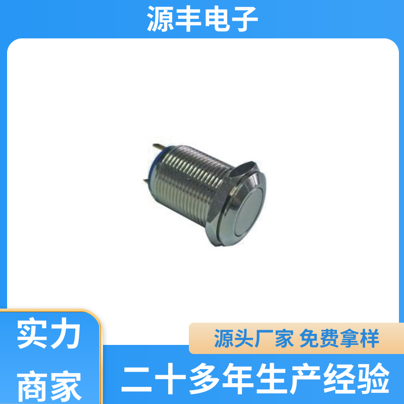 汽车电路保护等 摇臂开关 防水防尘 支持定制定做 源丰电子