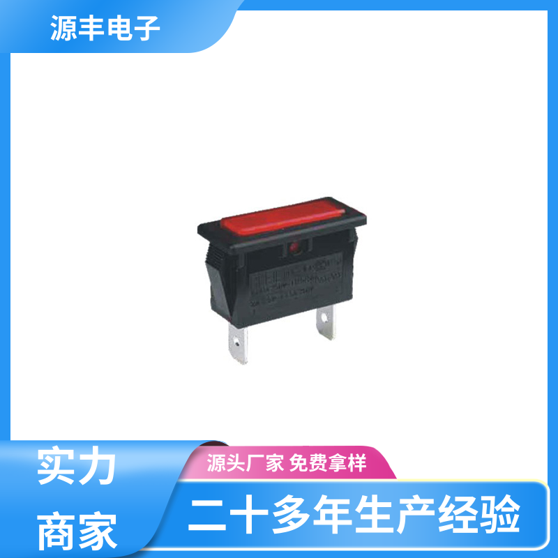 源丰电子 离子电视 翘板开关 小功率 多型号满足您的需求