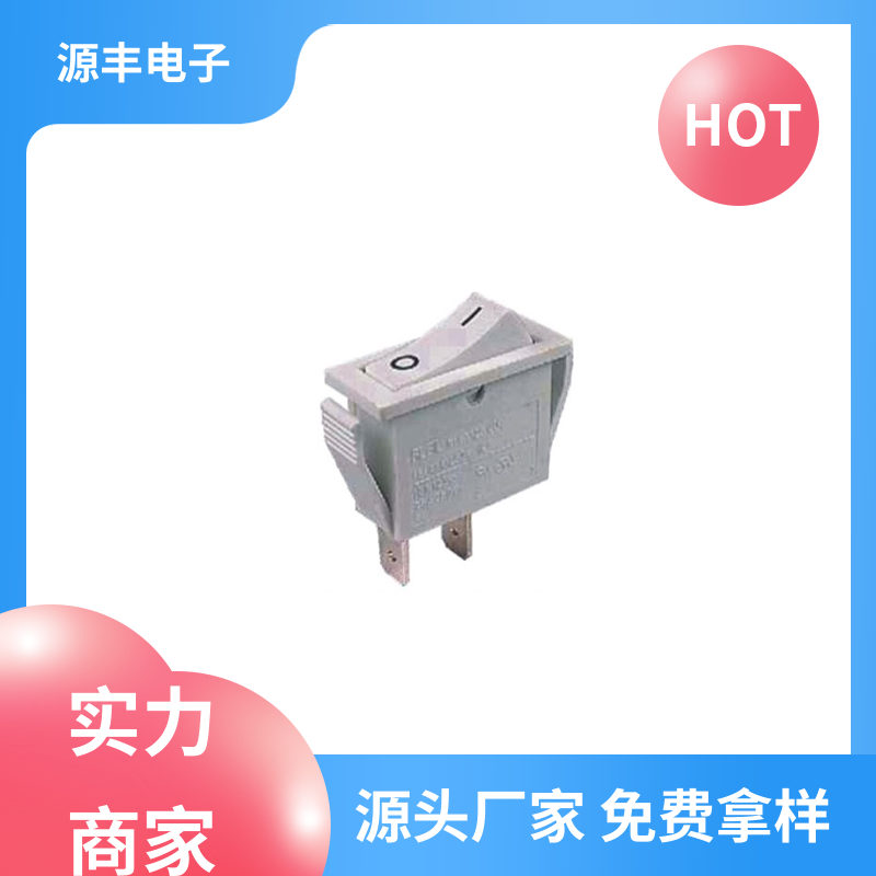 源丰电子 翘板开关 小功率 多型号满足您的需求