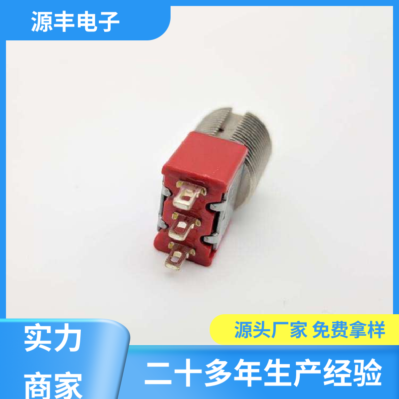 家用电器 钮子开关 外观独特 多型号满足您的需求 源丰电子