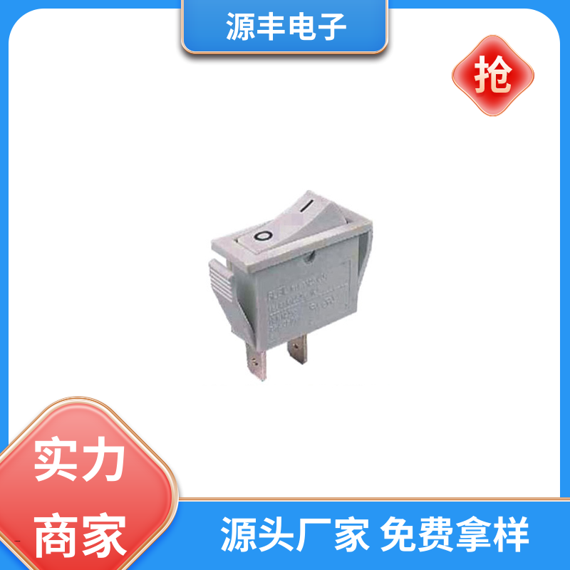 源丰电子 饮水机 翘板开关 小功率 支持定制定做