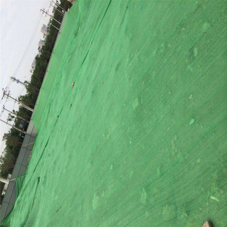 Green earth cover net, wind and dust suppression net, plastic green net