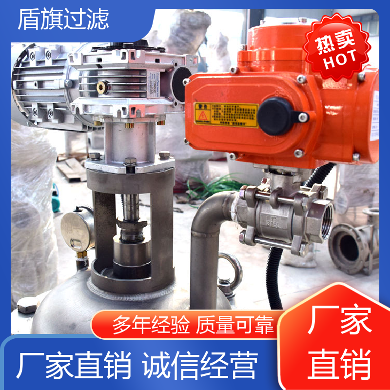 质量保证 电动自清洗过滤器 经久耐用 坚固耐用 盾旗过滤