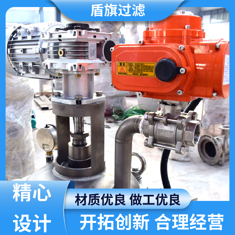 规模生产 刷式自清洗过滤器定制 自动程度高 开拓创新 盾旗过滤
