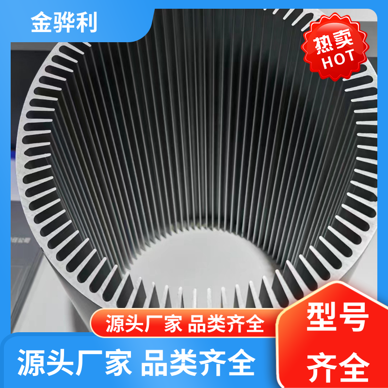 金骅利 国标 铝排 6060 压铸 挤压 拉丝先进工艺导电