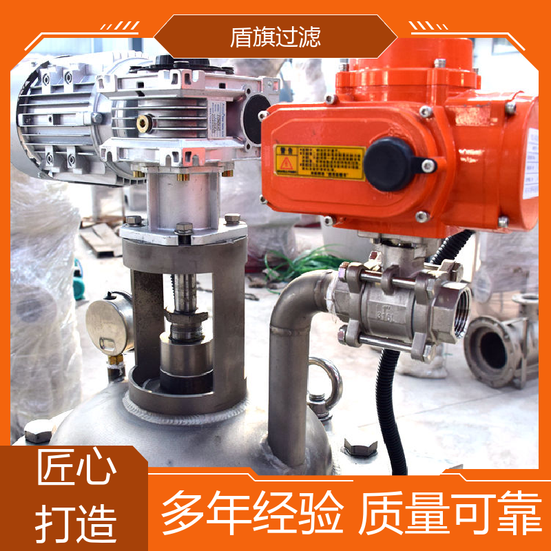 盾旗过滤 质量保证 y型自清洗过滤器订做 绿色环保 品质致胜