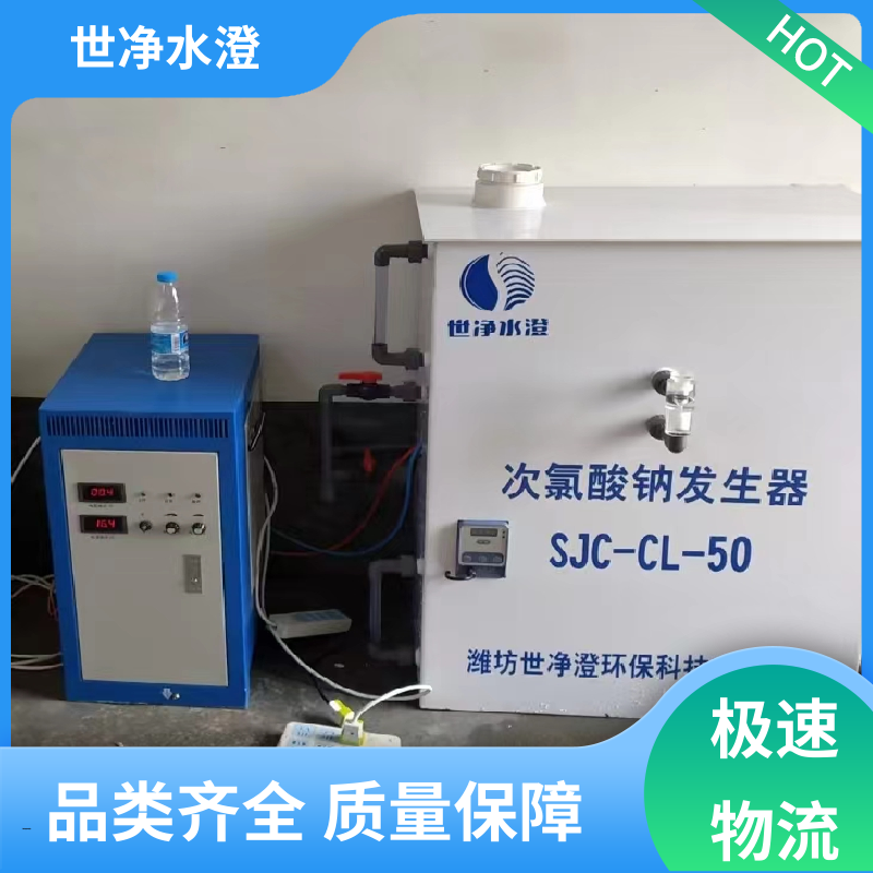 集装箱式 全自动次氯酸钠发生器 防腐效果好 经久耐用 世净澄环保